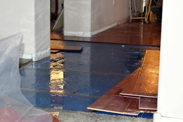Professional Water Damage Restoration technician working in Poolville, TX